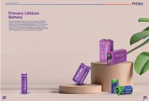INTERNATION BRAND BATTERY BROCHURE - 15
