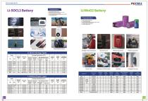 INTERNATION BRAND BATTERY BROCHURE - 16