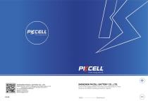 INTERNATION BRAND BATTERY BROCHURE - 1