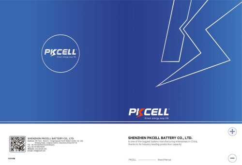 INTERNATION BRAND BATTERY BROCHURE