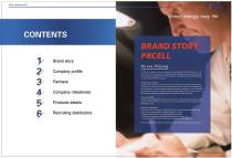 INTERNATION BRAND BATTERY BROCHURE - 3