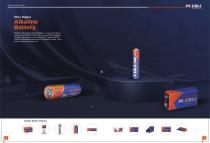 INTERNATION BRAND BATTERY BROCHURE - 8
