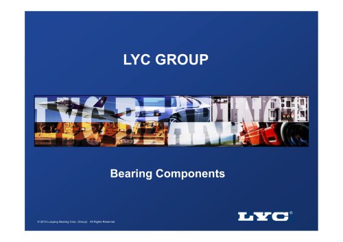 LYC Bearing Components