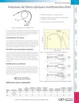 Faisceaux de fibres optiques multibranches Oriel - 1