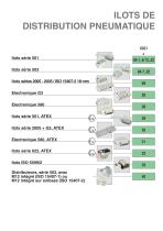 ILOTS DE DISTRIBUTION PNEUMATIQUE - 7