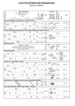 ILOTS DE DISTRIBUTION PNEUMATIQUE - 8