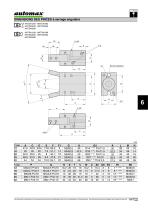 PINCES ANGULAIRES - HNT - 2