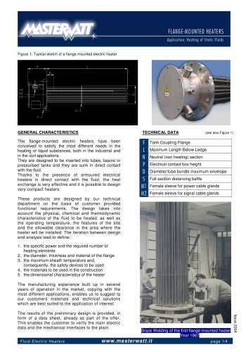 Flange-Mounted Immersion heaters