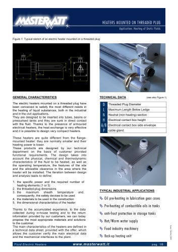 Plug-mounted immersion heaters