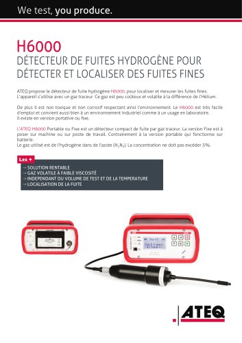 D&eacute;tecteur de fuite hydrog&egrave;ne | H6000