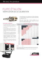 Fuite et Rubis étalon-1