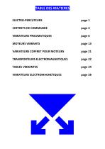 Vibrateurs industriels Euro Percussion - 2