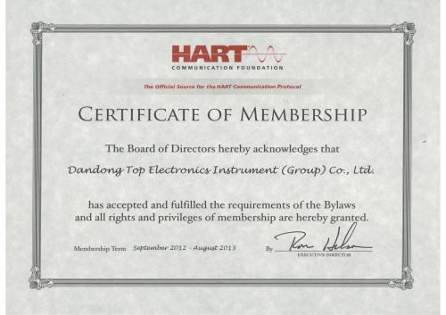 DDTOP Level Meter HART certificate