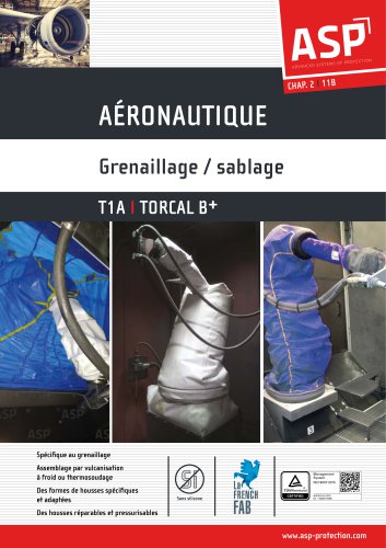 AÉRONAUTIQUE Grenaillage