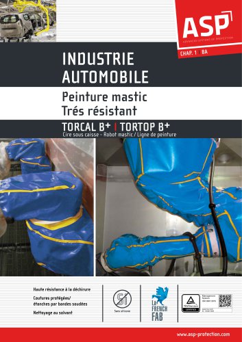 Industrie Automobile: Peinture mastic