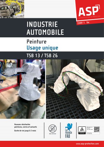 Peinture Usage Unique TSB 13/ TSB 26