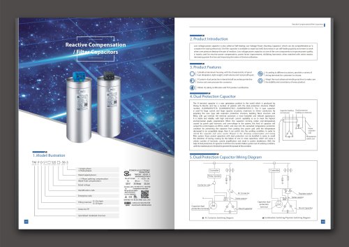 SY TMPDSY power capacitor