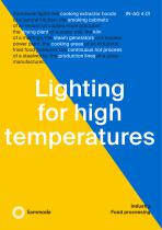 Lighting for high temperatures