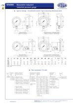 M5000 - Manomètre industriel - 2