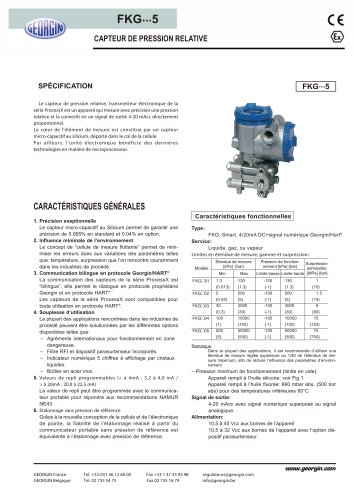 process transmitter FKG series