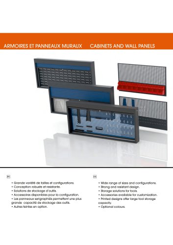 CABINETS AND WALL PANELS