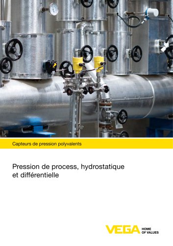 Capteurs de pression polyvalents