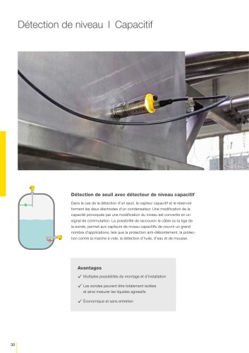 Catalogue produits: Capacitif/Admittance VEGACAP (Détection de niveau)
