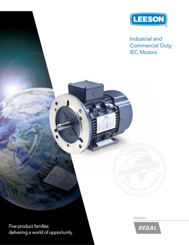 Industrial and Commercial Duty IEC Motors