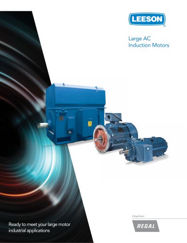 Large Motors Bulletin 1304