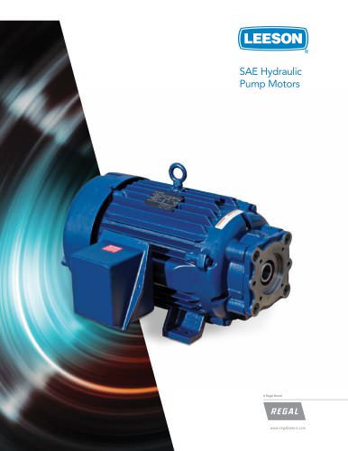 SAE Hydraulic Pump Motors Bulletin 1301