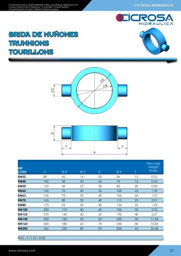 TOURILLONS