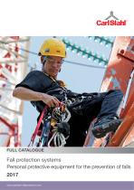 Fall protection systems / Personal protective equipment for the prevention of falls 2017