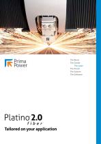 Platino Fiber