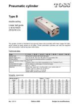 Pneumatic cylinder Type B